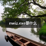 nwiz.exe是什么（图3）