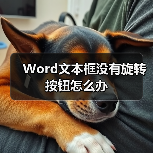 Word文本框无旋转按钮的解决方法