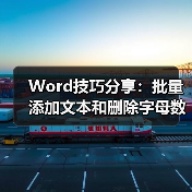 Word技巧分享：批量添加文本和删除字母数字技巧（图4）