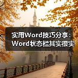 实用Word技巧分享:Word状态栏其实很实用!(图4) 实用Word技巧分享:Word状态栏其实很实用!(图4)