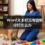 Word文本框没有旋转按钮怎么办（图2）