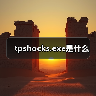 tpshocks.exe是什么（图2）