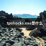 tpshocks.exe是什么（图3）