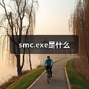 smc.exe是什么（图4）