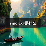smc.exe是什么（图3）