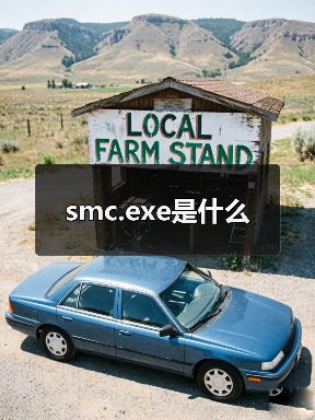 smc.exe进程详解：病毒防护与网络安全解析