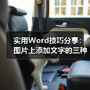 实用Word技巧分享：图片上添加文字的三种方法（图2）
