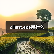 client.exe是什么（图4）