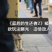 顽皮狗砍掉《最后生还者2》经典机制 玩家模组尝试复原
