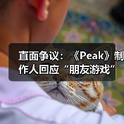 《Peak》游戏合作玩法引发社交体验讨论