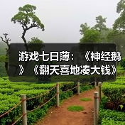 年末三款高评分游戏推荐：治愈系、趣味卡牌与解谜大逃杀