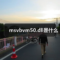 msvbvm50.dll是什么（图2）
