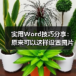 实用Word技巧分享：原来可以这样设置图片艺术效果！（图2）