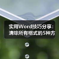 实用Word技巧分享：清除所有格式的5种方法（图3）