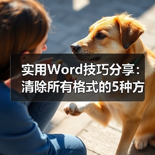 实用Word技巧分享：清除所有格式的5种方法（图4）
