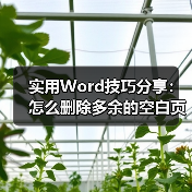 实用Word技巧分享：怎么删除多余的空白页（图4）
