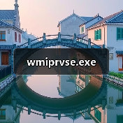 wmiprvse.exe（图2）