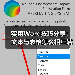 Word文本与表格互转技巧：高效分隔符设置指南