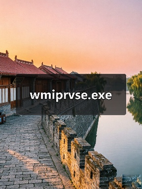 wmiprvse.exe（图3）
