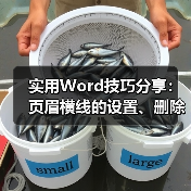 实用Word技巧分享：页眉横线的设置、删除、加长缩短（图4）