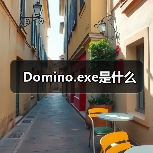 Domino.exe是什么（图2）