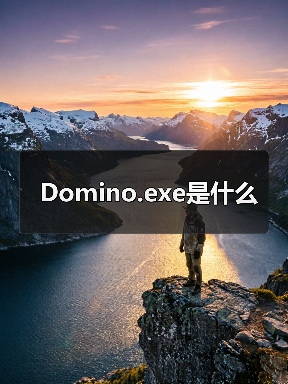 Domino.exe进程异常安全风险与验证方法