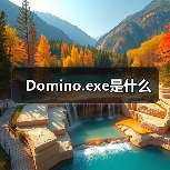 Domino.exe是什么（图4）