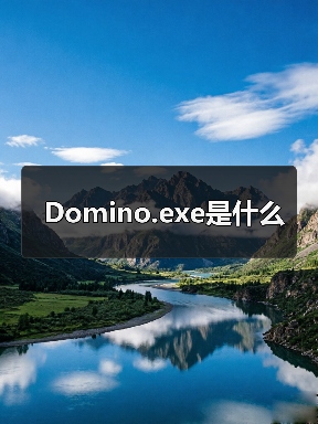 Domino.exe是什么（图3）
