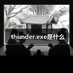 thunder.exe是什么（图3）