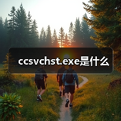 ccsvchst.exe是什么（图3）