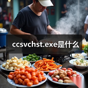 ccsvchst.exe是什么（图2）