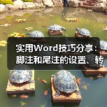 实用Word技巧分享:脚注和尾注的设置、转换和删除(图2) 实用Word技巧分享:脚注和尾注的设置、转换和删除(图2)