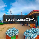 ccsvchst.exe是什么（图4）