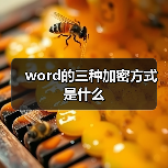 word的三种加密方式是什么(图2) word的三种加密方式是什么(图2)