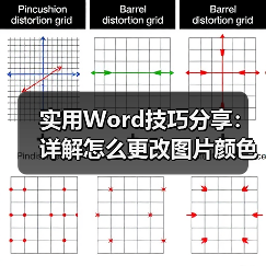实用Word技巧分享：详解怎么更改图片颜色和形状（图3）
