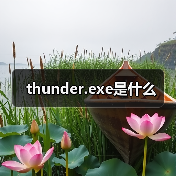thunder.exe是什么（图2）
