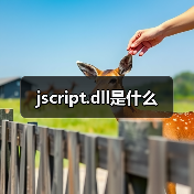 jscript.dll是什么（图4）