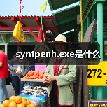 syntpenh.exe是什么（图4）