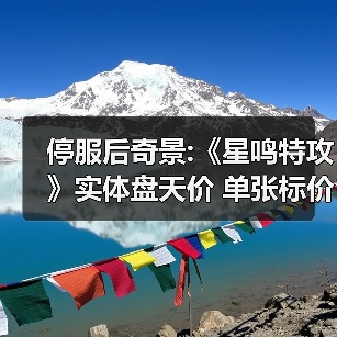 停服后奇景:《星鸣特攻》实体盘天价 单张标价35欧元(图2) 停服后奇景:《星鸣特攻》实体盘天价 单张标价35欧元(图2)