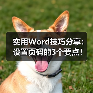 实用Word技巧分享:设置页码的3个要点!(图3) 实用Word技巧分享:设置页码的3个要点!(图3)