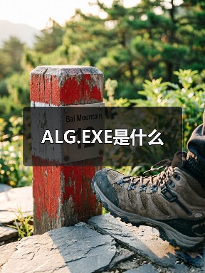 alg.exe进程解析：系统病毒与处理方法