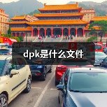 dpk是什么文件（图2）