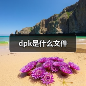 dpk是什么文件（图4）