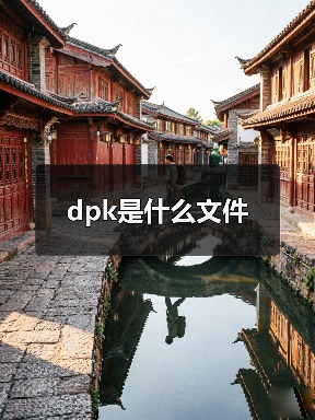 dpk是什么文件（图3）