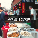 DDB文件是什么？详解PROTEL数据库文件用途及打开方法