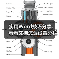 实用Word技巧分享：看看文档怎么设置分栏（图2）