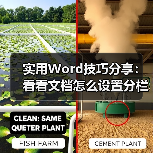实用Word技巧分享：看看文档怎么设置分栏（图4）