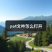 PAT文件打开方法与Adobe Acrobat使用指南
