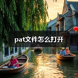 pat文件怎么打开（图3）