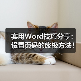 实用Word技巧分享:设置页码的终极方法!(图4) 实用Word技巧分享:设置页码的终极方法!(图4)